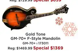 Long & McQuade GOLD TONE GM-70 + F-STYLE MANDOLIN offer