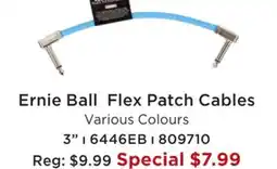 Long & McQuade ERNIE BALL FLEX PATCH CABLES offer