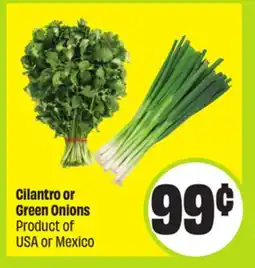 FreshCo Cilantro or Green Onions Product of USA or Mexico offer