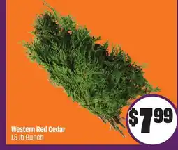 FreshCo Western Red Cedar 1.5 lb Bunch offer