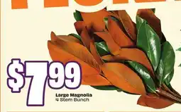 FreshCo Large Magnolia 4 Stem Bunch offer