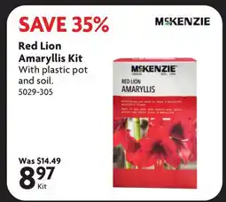 Home Hardware Red Lion Amaryllis Kit offer