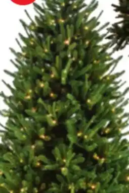 Home Hardware 7' Spruce offer