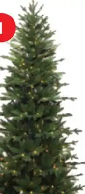 Home Hardware Prelit Trees 7' Winwood Slim Fir offer