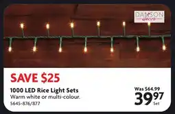 Home Hardware 1000 LED Rice Light Sets offer