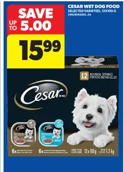 Real Canadian Superstore CESAR WET DOG FOOD, 12X100 G offer