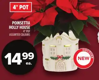 Metro POINSETTIA HOLLY HOUSE offer