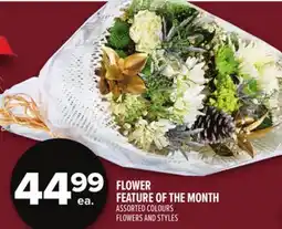 Metro FLOWER FEATURE OF THE MONTH offer