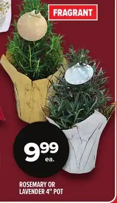 Metro ROSEMARY OR LAVENDER 4 POT offer