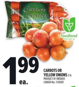 Metro CARROTS OR YELLOW ONIONS offer