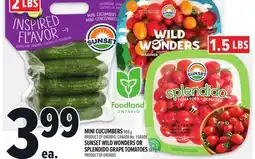 Metro MINI CUCUMBERS OR SUNSET WILD WONDERS OR SPLENDIDO GRAPE TOMATOES offer