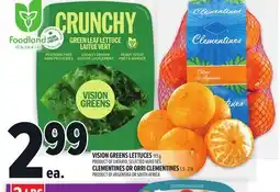 Metro VISION GREENS LETTUCES 113 G offer