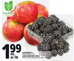 Metro BLACKBERRIES offer