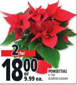 Metro POINSETTIAS offer