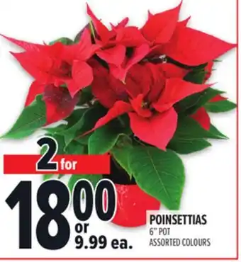 Metro POINSETTIAS offer