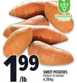 Metro SWEET POTATOES offer
