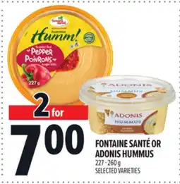 Metro FONTAINE SANTÉ OR ADONIS HUMMUS offer