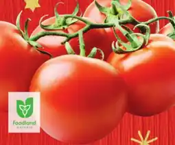 Foodland Tomatoes on the Vine offer
