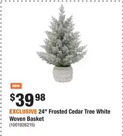 Home Depot EXCLUSIVE 24 Frosted Cedar Tree White Woven Basket offer