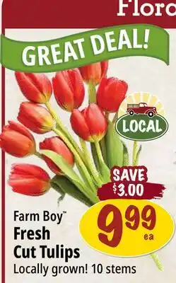 Farm Boy Farm Boy Fresh Cut Tulips offer