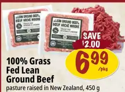 Farm Boy 100% Grass Fed Lean Ground Beef offer