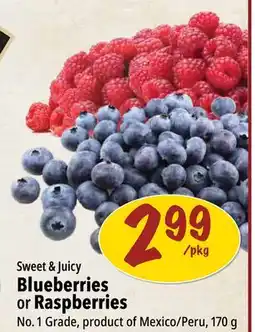 Farm Boy Sweet & Juicy Blueberries or Raspberries offer