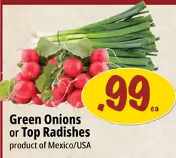 Farm Boy Green Onions or Top Radishes offer