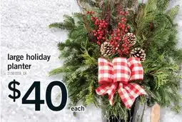 Fortinos LARGE HOLIDAY PLANTER offer