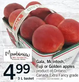 Fortinos GALA, MCINTOSH, FUJI OR GOLDEN APPLES, 3 L BASKET offer