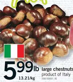 Fortinos LARGE CHESTNUTS offer