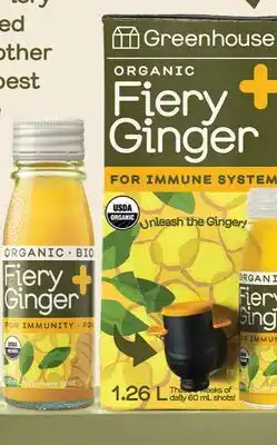 Fortinos GREENHOUSE FIERY GINGER offer