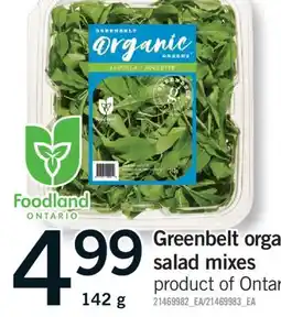 Fortinos GREENBELT ORGANIC SALAD MIXES, 142 g offer
