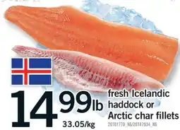 Fortinos FRESH ICELANDIC HADDOCK OR ARCTIC CHAR FILLETS offer