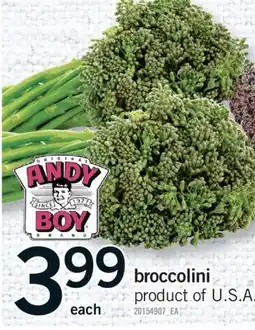 Fortinos BROCCOLINI offer