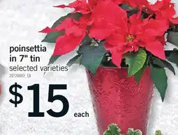 Fortinos POINSETTIA IN 7 TIN offer