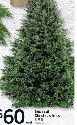 Fortinos FRESH CUT CHRISTMAS TREES, 6-8 ft offer