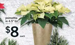 Fortinos POINSETTIA IN 4.5 TIN offer