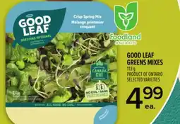 Metro GOOD LEAF GREENS MIXES offer