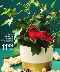 Metro IVY 4 STAR TRELLIS IN TIN POT offer