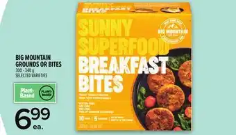 Metro BIG MOUNTAIN GROUNDS OR BITES offer