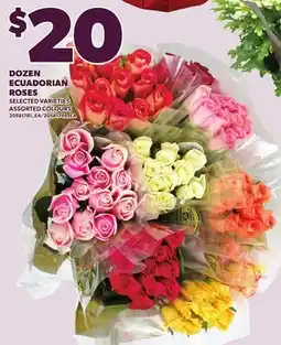 Loblaws DOZEN ECUADORIAN ROSES offer