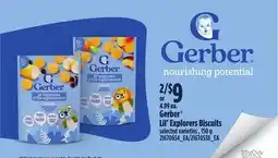Loblaws GERBER LIL' EXPLORERS BISCUITS, 150 G offer