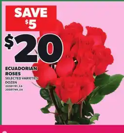 Loblaws ECUADORIAN ROSES offer