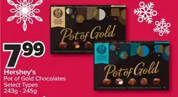 PharmaChoice Hershey's Pot of Gold Chocolates offer