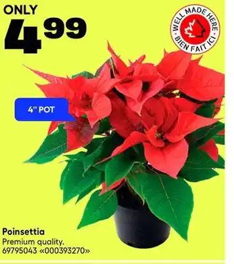 RONA Poinsettia offer