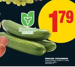 No Frills ENGLISH CUCUMBERS offer