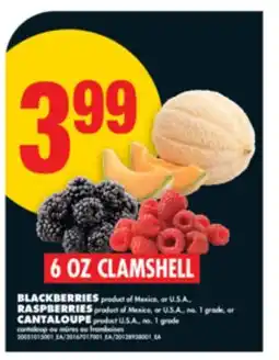 No Frills BLACKBERRIES, RASPBERRIES or CANTALOUPE, 6 OZ CLAMSHELL offer