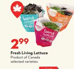 Longo's Fresh Living Lettuce offer