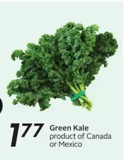 Sobeys Green Kale offer