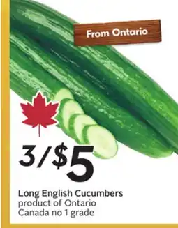 Sobeys Long English Cucumbers offer